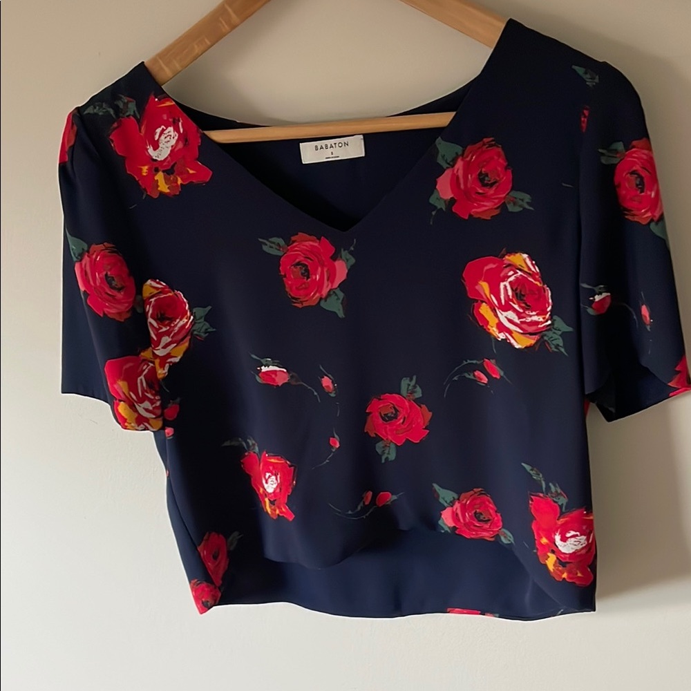 Babaton Red and Blue Short Sleeve Crop Blouse